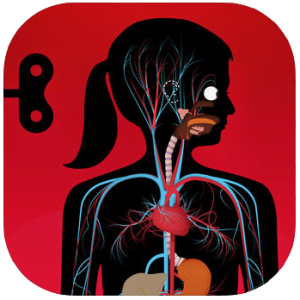 Ocorpo-icone