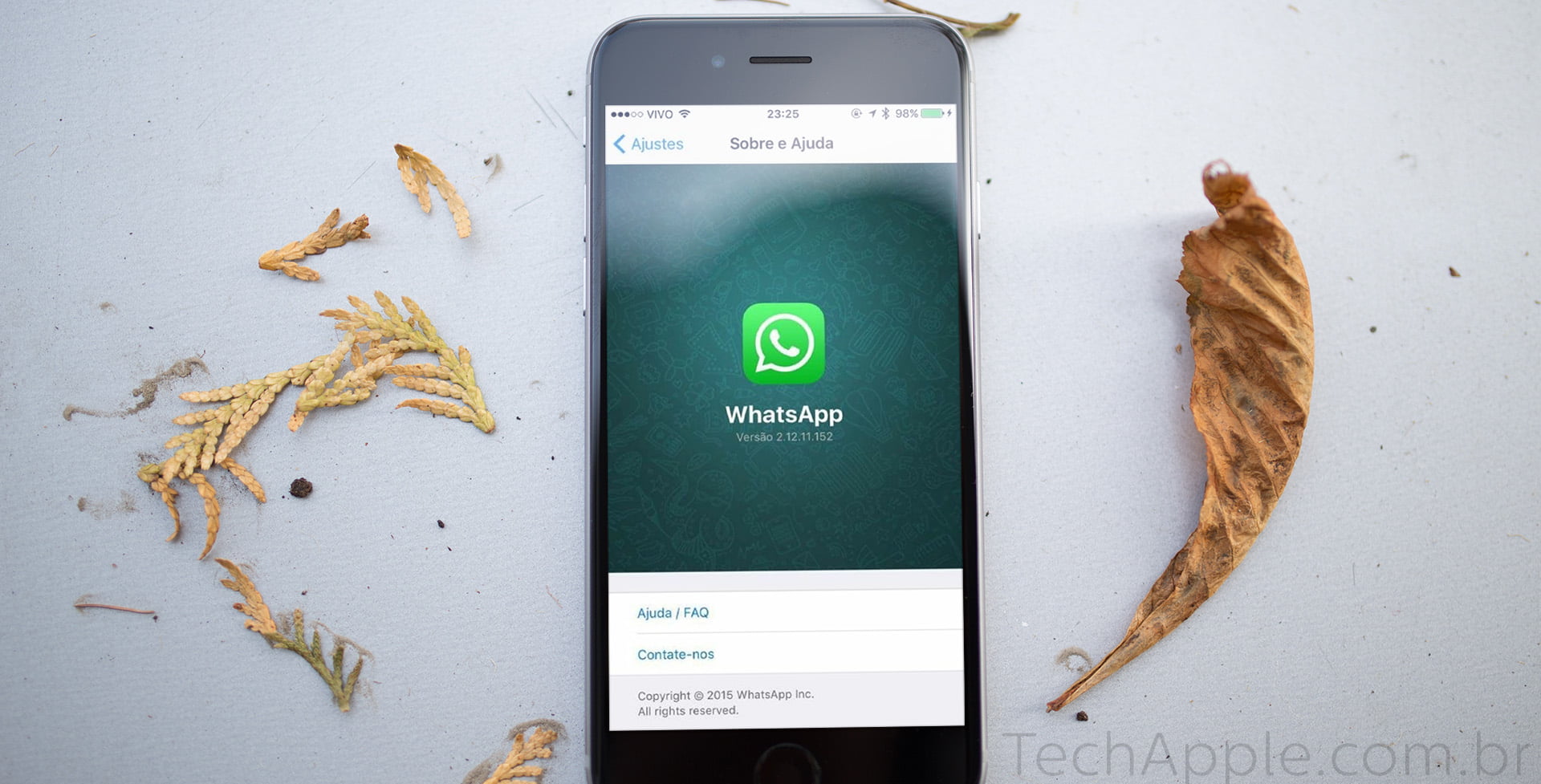 Próxima atualização do WhatsApp para iOS trará pequenas mudanças visuais